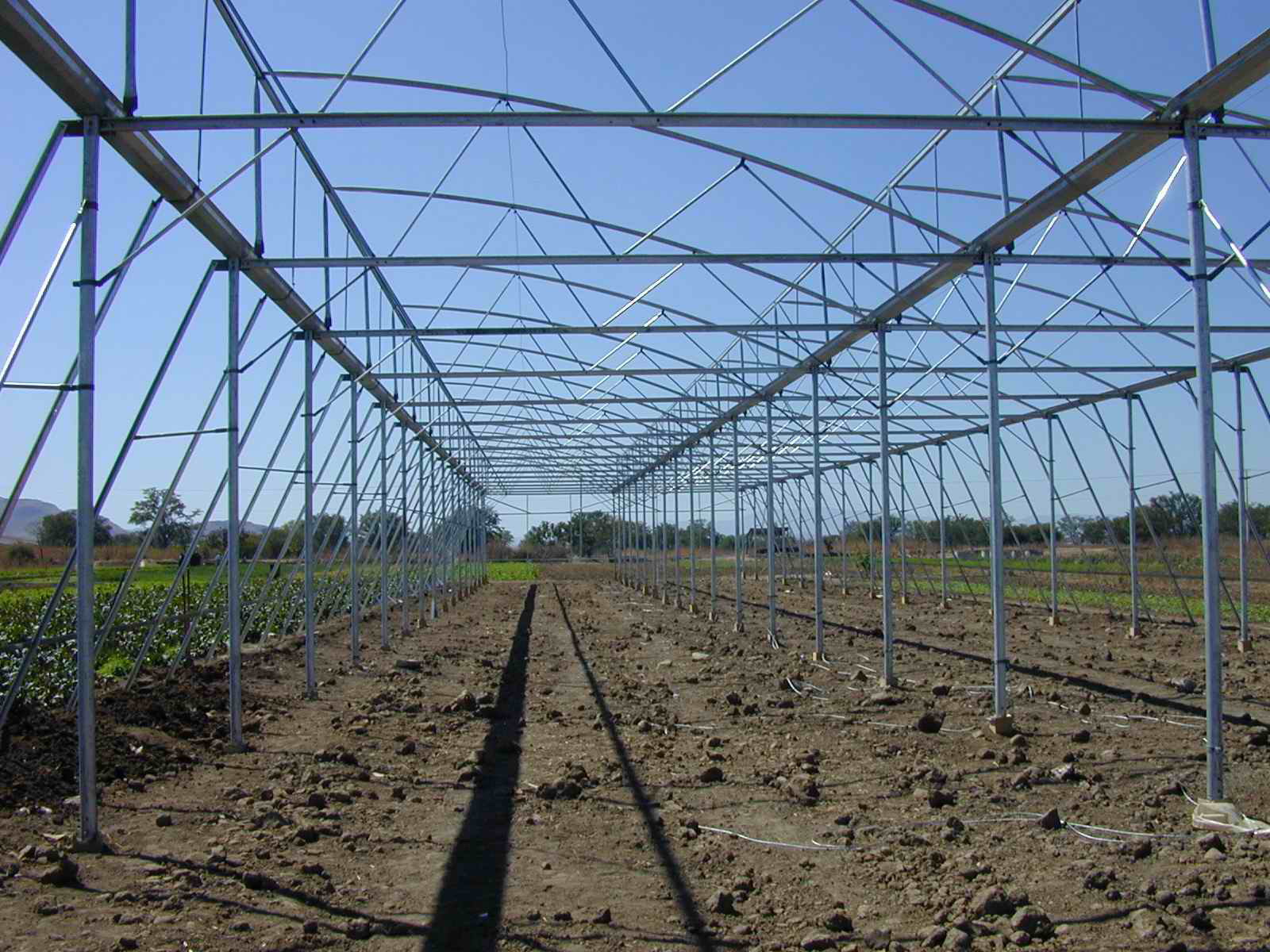 Greenhouse Project 5